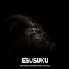 Ebusuku (feat. Mavuthela, Ribby, Cosh & Dr Lee) - Single