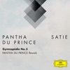 Pantha du Prince