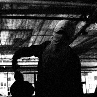 50/50 - Single - Paxslim