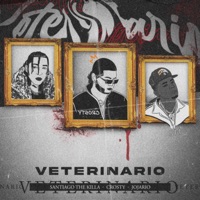 jojairo-santiago the killa (veterinario) - Single - Crosty