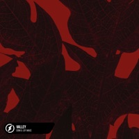 Valley - Single - Dom B & lofi mage