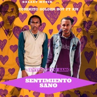 Sentimiento Sano (feat. KM) - Single - Galaxy Musik & Comikito Golden Boy