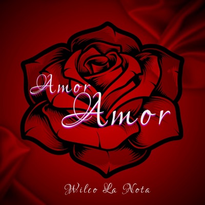 Amor, Amor (Version Bachata) - Single