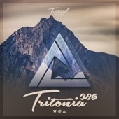 Tritonia 386 artwork