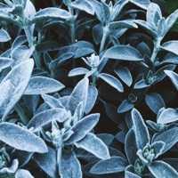 The Love You Left Behind - Single - Undersided