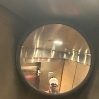 Bcsh - Single - Brown_buddha