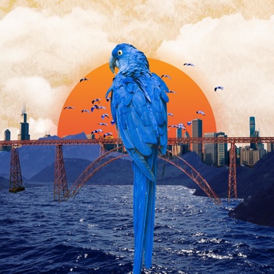 Pájaros Azules (feat. Fénix Castro) - Single