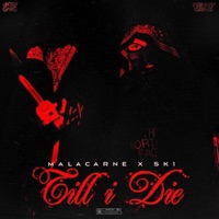 TILL I DIE - Single - SK1 Tammy & Malacarne
