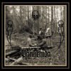 Storm Ravaging The Forest - Single