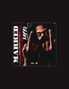 聆聽 Kayyo、觀看音樂影片、閱讀小傳、查看巡演日期等！