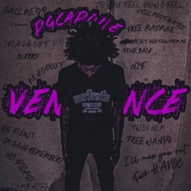 COPPING#AGAIN (feat. 4l Chucky) PGCAPONE