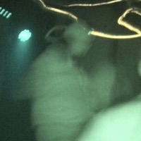 Good Luck - Single - fauna