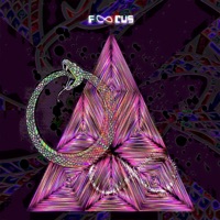 Focus - Single - Purple Sun