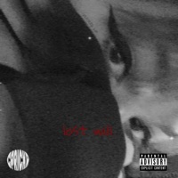 lost will. - Single - CPrickR