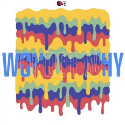 Wonder Why - Single