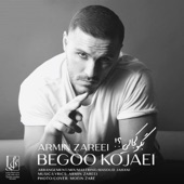 Begoo Kojaei artwork