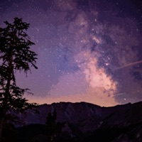 Good Night - Single - Colens & MrAnthony