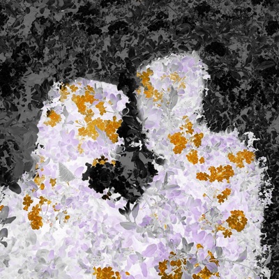 Floweriism - Single