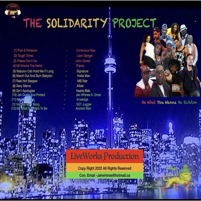 The Solidarity Project