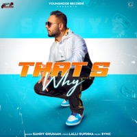 That's Why - Single - Sandy ghuman