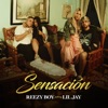 Sensación (feat. Lil Jay) - Single