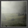 Three Meadows - Single