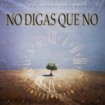 No digas que no - Single