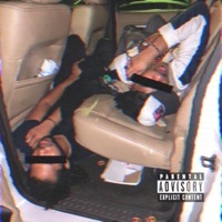 YDNS (feat. JEMS & Parlay Da Playa) - Single - Ty Jewels