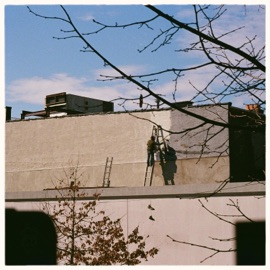 Wyckoff phogen & vxrt