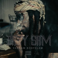 Baby Sam - EP - Vandam Bodyslam