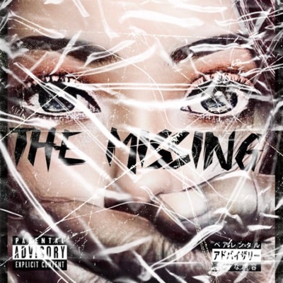 The Missing (feat. Villamatic) - Single
