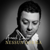 Turandot / Act 3: Nessun dorma! - Amadi Lagha