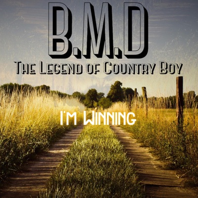 I'm Winning - Single