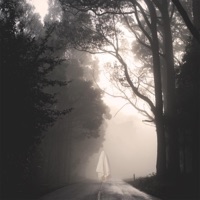 Where Are You Now? - Single - Yunglynx