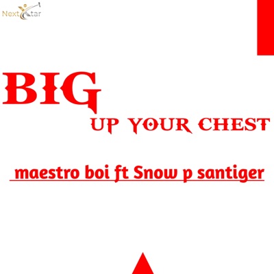 Big up Your Chest (feat. SNOW P SANTIGER) - Single
