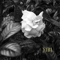 Yibi - Single - Walca