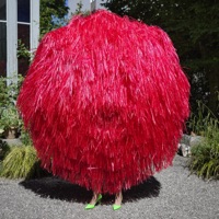 LE PLUS LÉGER AU MONDE