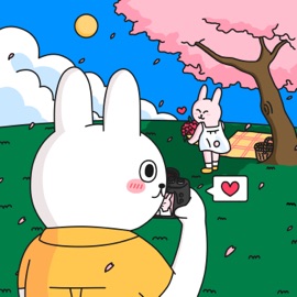 Photographer Around