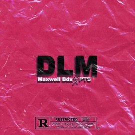 DLM Maxwell Bdx & PTS
