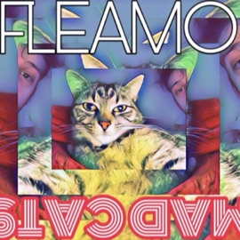 Mad Cats Six FLEAMO