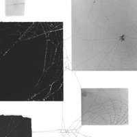 Lost Instrumentals, Vol. 2 - Parv0