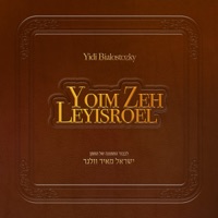 Yoim Zeh Leyisroel - Single - Yidi Bialostozky