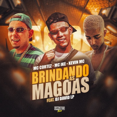 Brindando as Magoas - Single