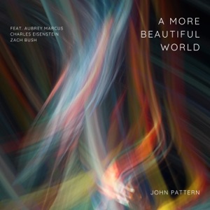 A More Beautiful World (feat. Aubrey Marcus, Charles Eisenstein & Zach Bush) - Single