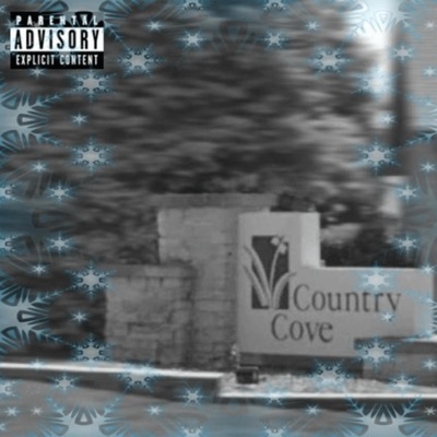 CHRiSTMAS iN the COVE (feat. Lil Biggs) - Single