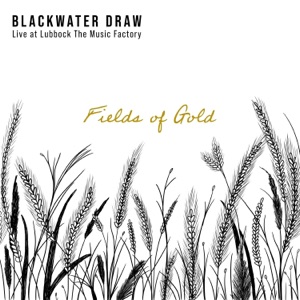 Fields of Gold (Live at Lubbock the Music Factory) - Single