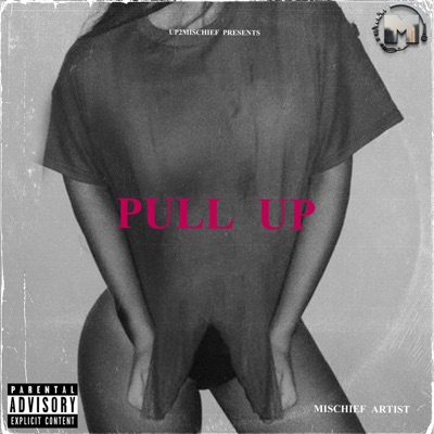 Pull Up - Single