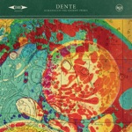 Dente - Un fiore sulla luna