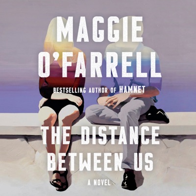 The Distance Between Us: A Novel (Unabridged)