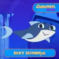 Ricky Rechinasul